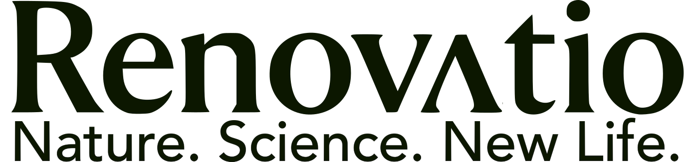 Read Renovatio Reviews