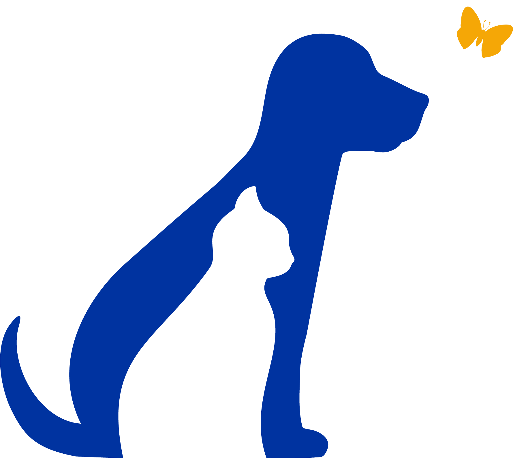 cat strollers near me