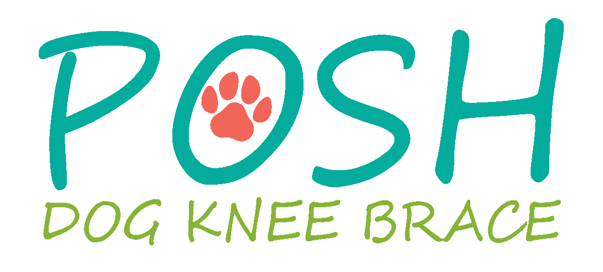 Read Posh Dog Knee Brace Reviews