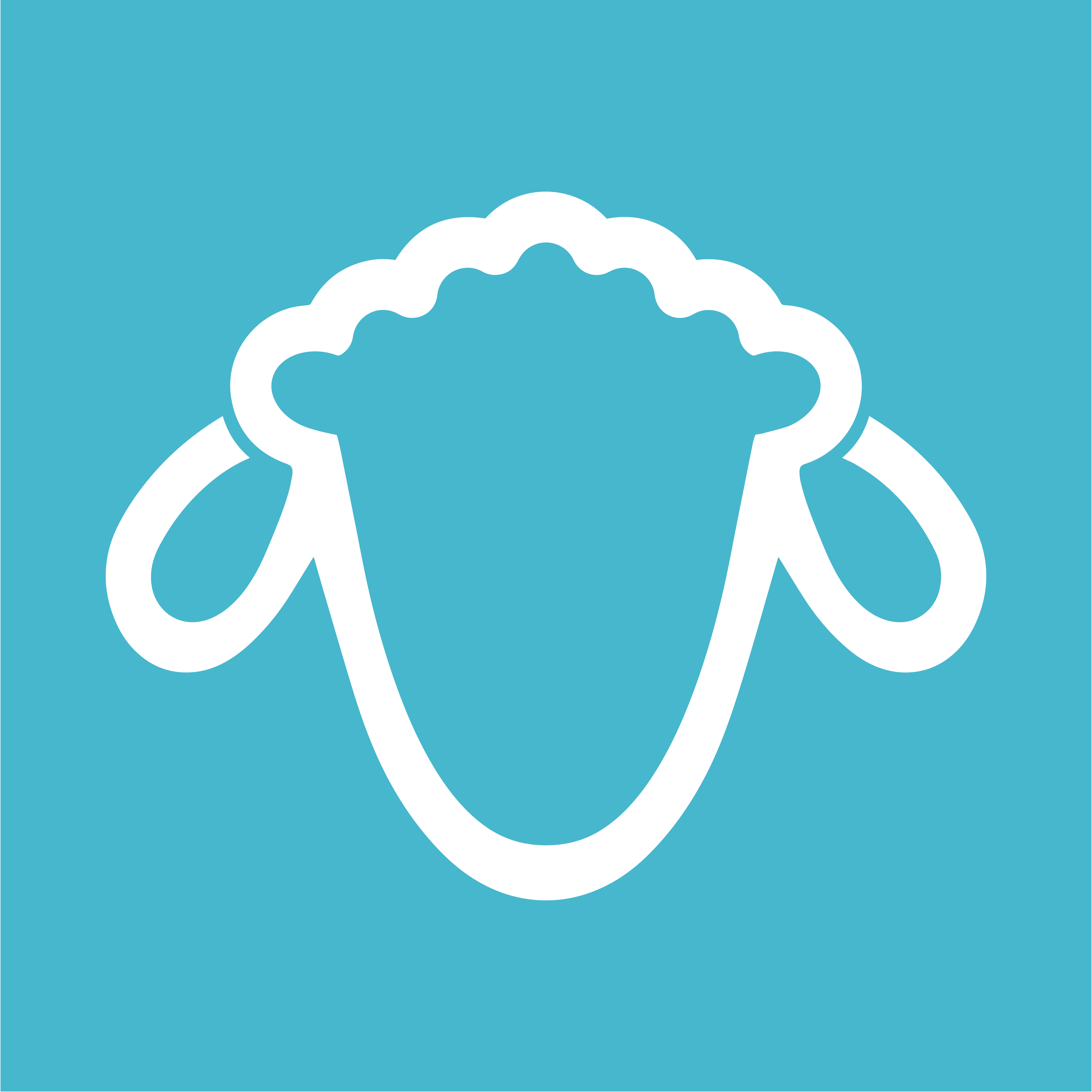 Read Sheepers LTD Reviews