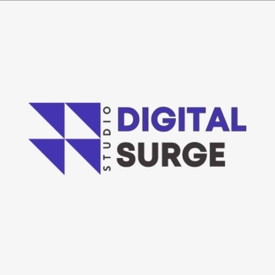 Read Digital Surge Studio Reviews