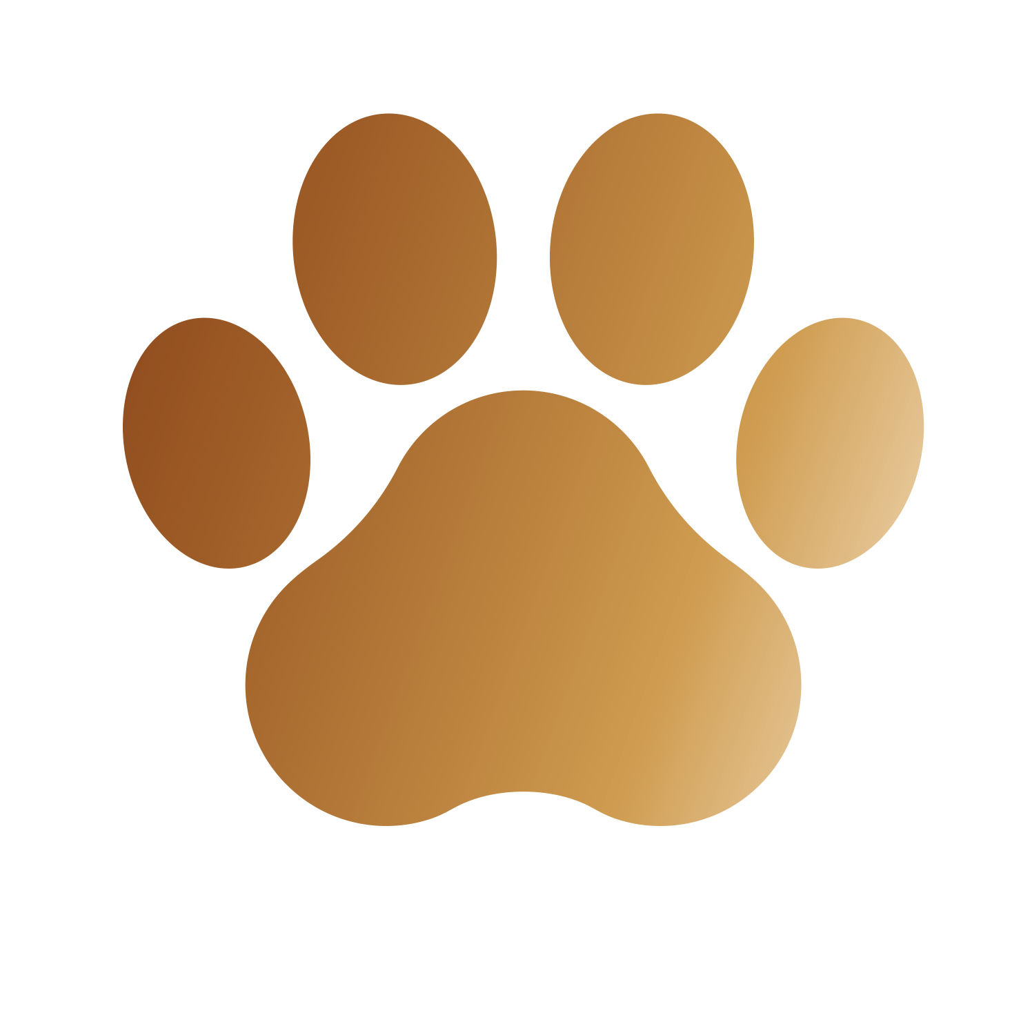 Read Snazzydot Reviews