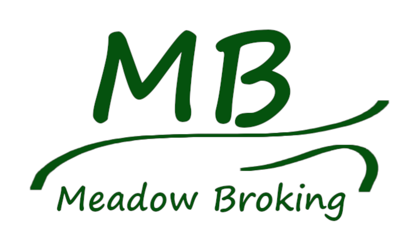 Read Meadow Broking Reviews