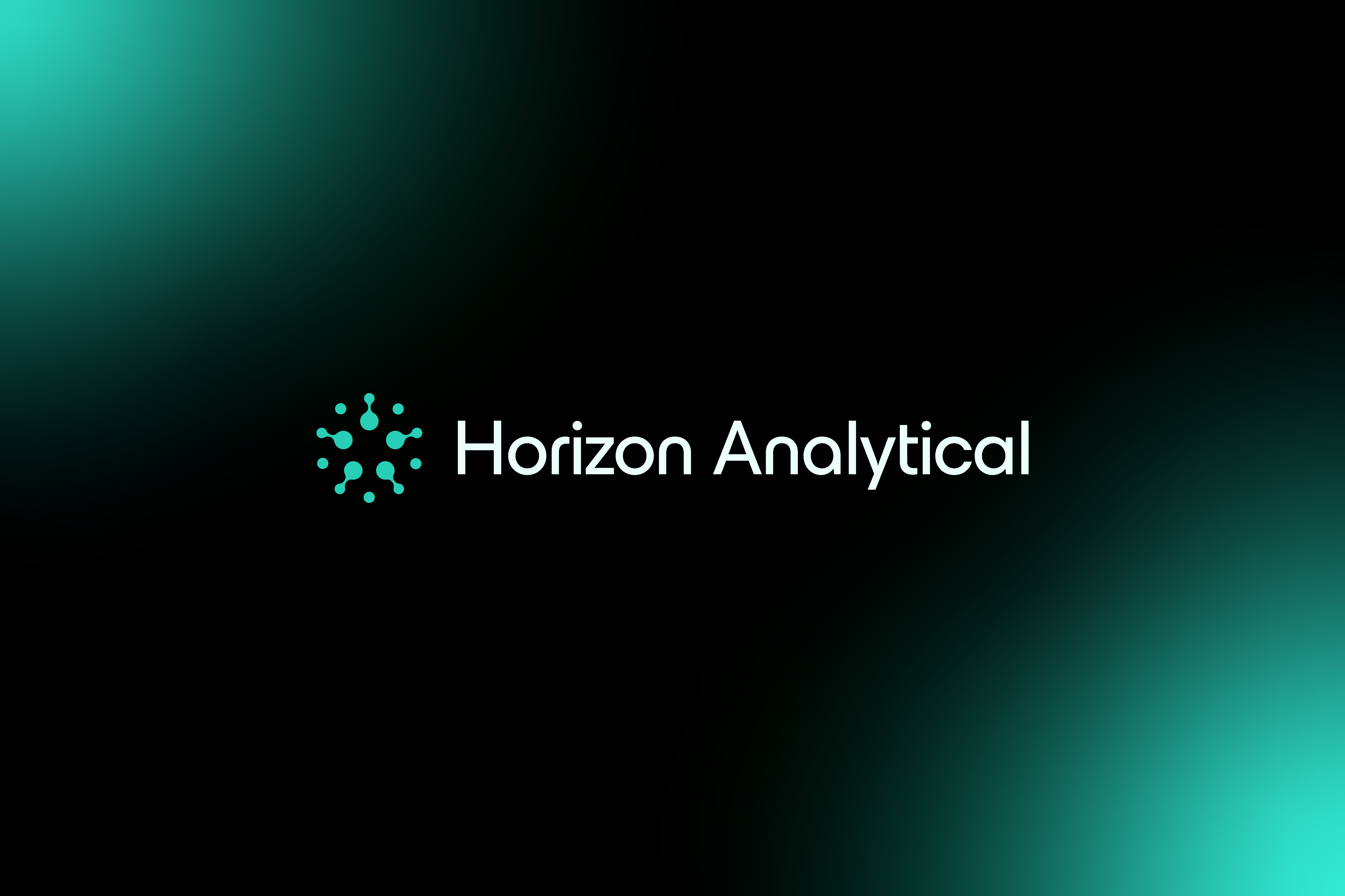 Read Horizon Analytical Reviews