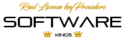 Read SoftwareKings Reviews