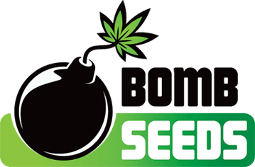 Read Bomb-seeds Reviews
