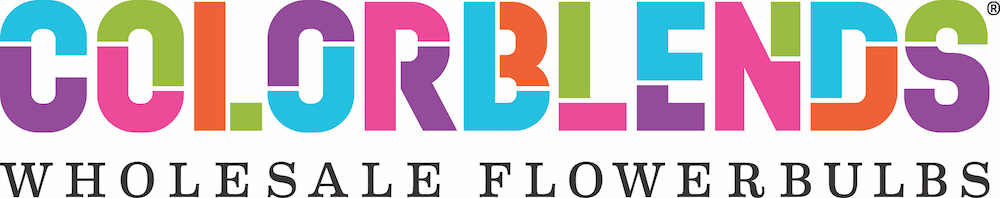 Read Colorblends Wholesale Flowerbulbs Reviews