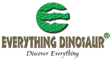 Read Everything Dinosaur Reviews